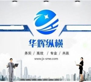 江蘇華輝縱橫科技信息咨詢 專業(yè)信息技術咨詢服務解析